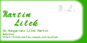 martin lilek business card